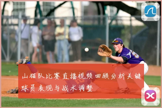 山猫队比赛直播视频回顾分析关键球员表现与战术调整
