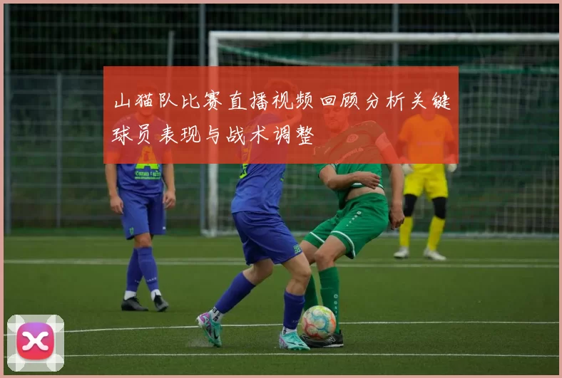 山猫队比赛直播视频回顾分析关键球员表现与战术调整