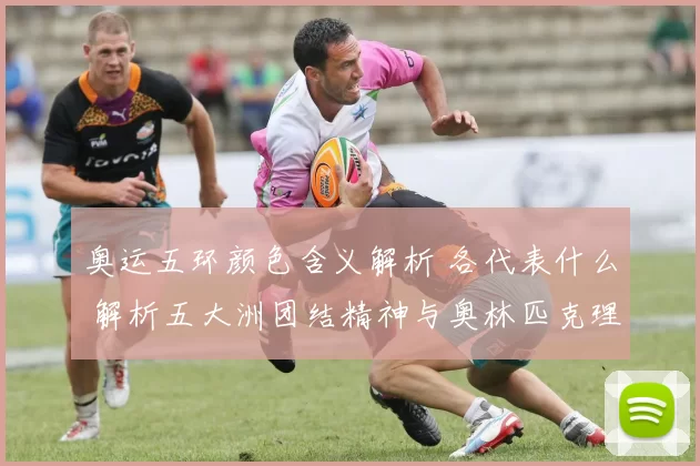 奥运五环颜色含义解析 各代表什么 解析五大洲团结精神与奥林匹克理念