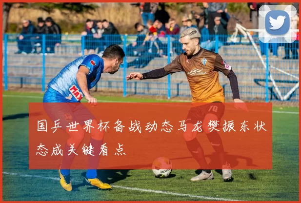 国乒世界杯备战动态马龙樊振东状态成关键看点